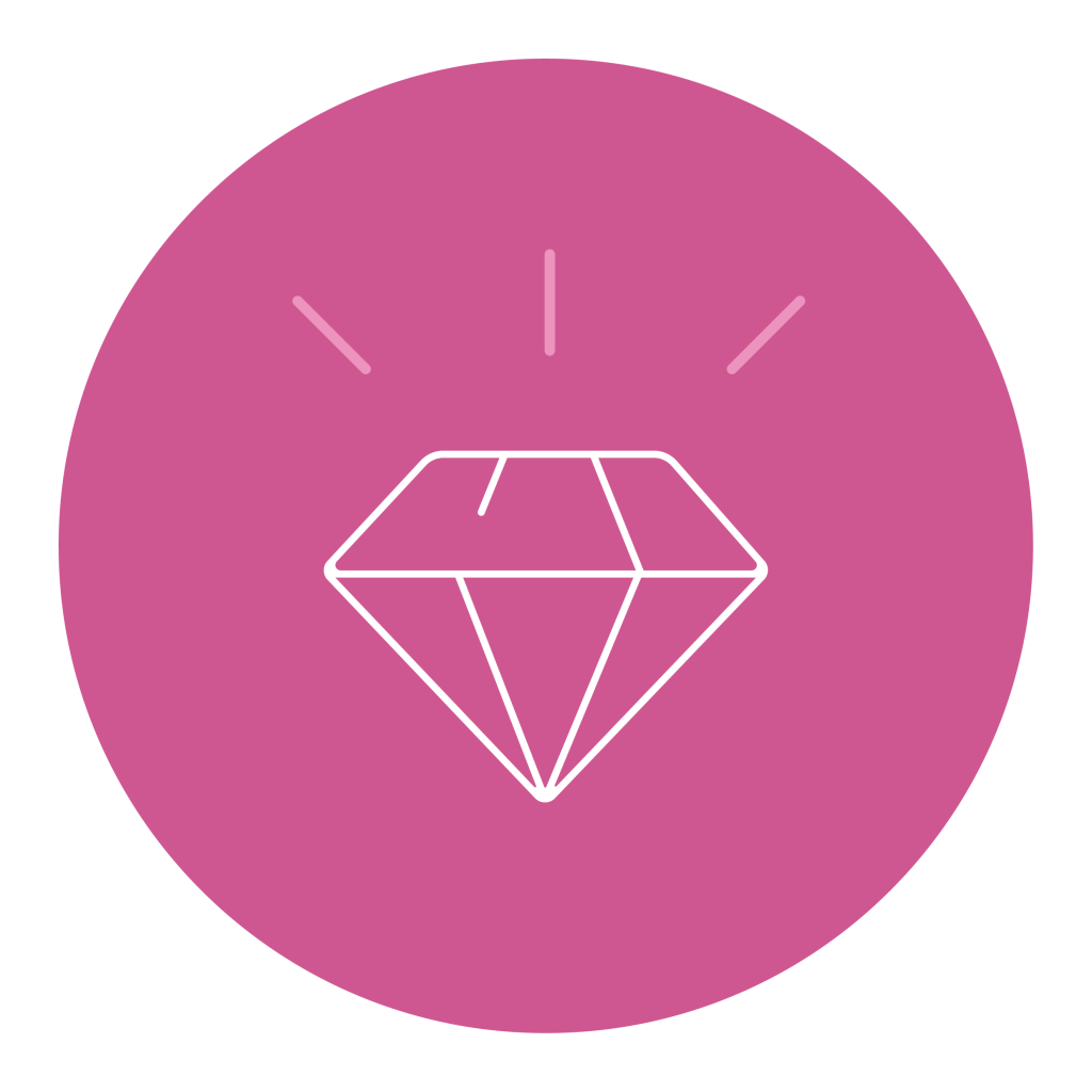 core values icon 01